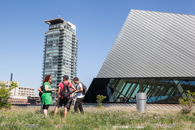 researchers and students stand on the ROM green roof to discuss their data collection
