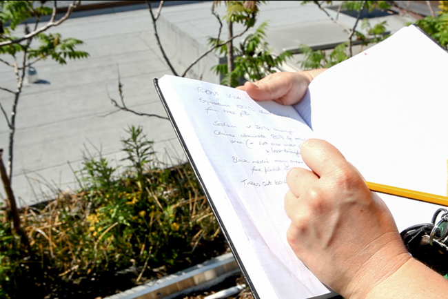 a person writes research notes into a notebook on the ROM green roof