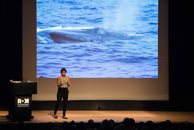 Asha De Vos gives an enthusiastic talk about whale poop at the Royal Ontario Museum. Photo Credit: Meghan Callon