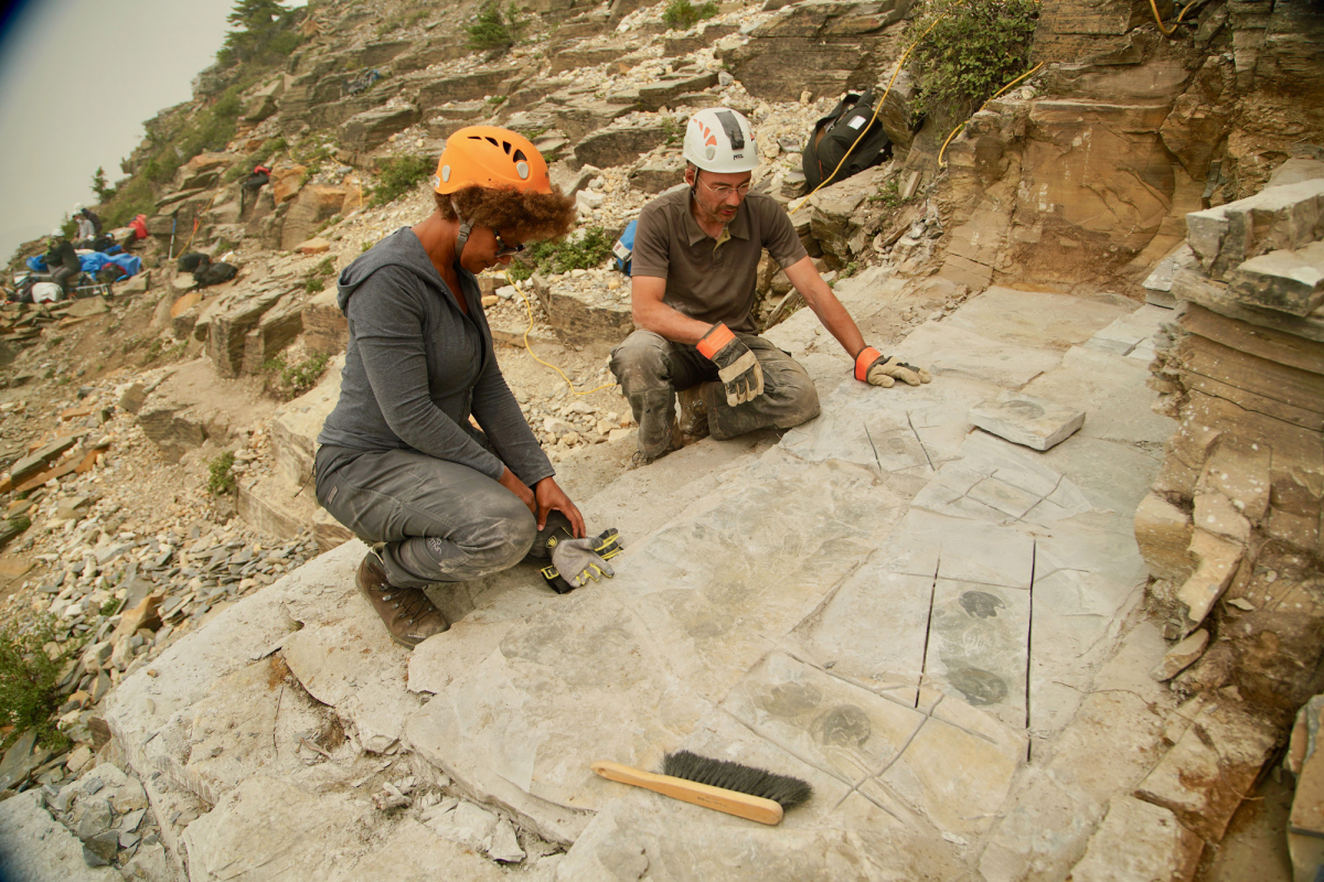 Jean-Bernard Caron, conservateur du ROM, et Maydianne Andrade dans la carrière en train de discuter de ces nouveaux fossiles