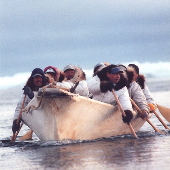 Historic coloured photograph of Inuit hunters in a hunting boat on the water 