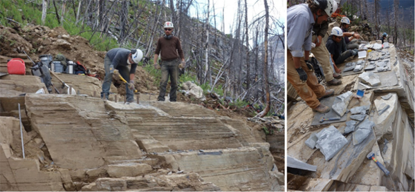 Author Karma Nanglu and Dr. Cédric Aria excavating fossils from the Marble Canyon quarry